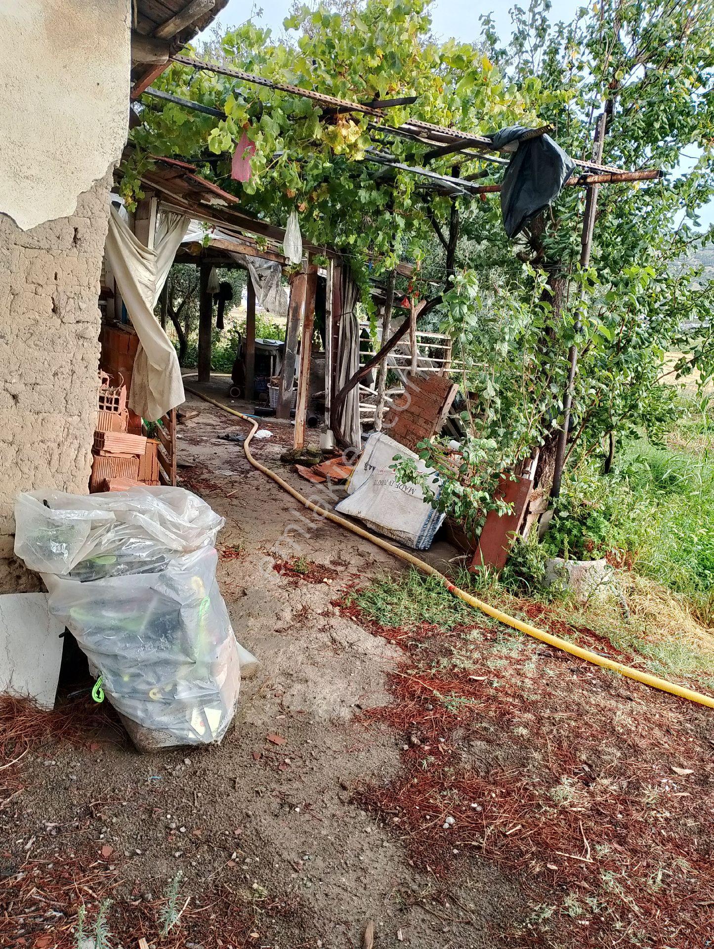 Bergama Fevzipaşa Mah.cezaevi Yanında Satılık Tarla - Görsel 8