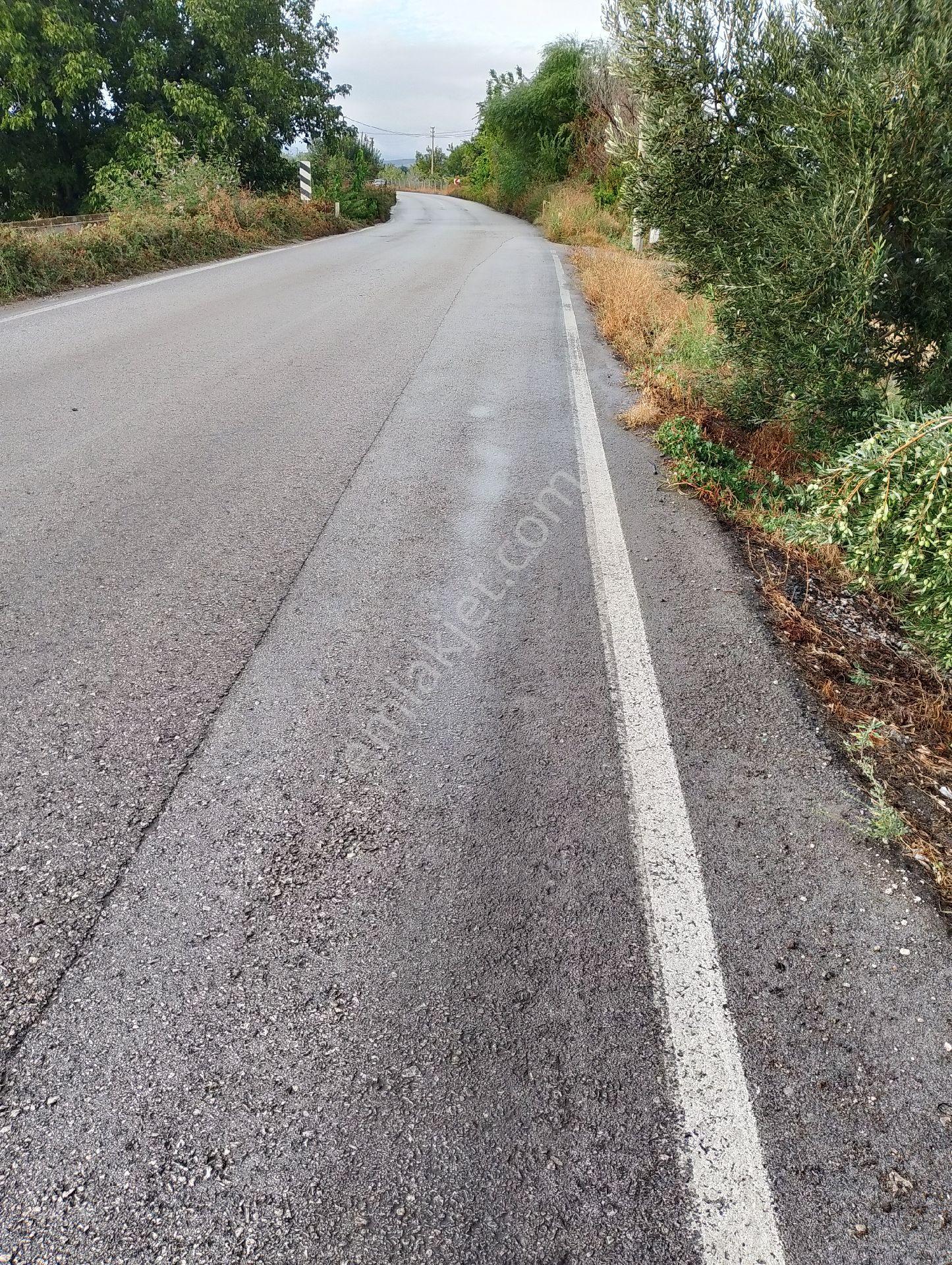Bergama Fevzipaşa Mah.cezaevi Yanında Satılık Tarla - Görsel 6