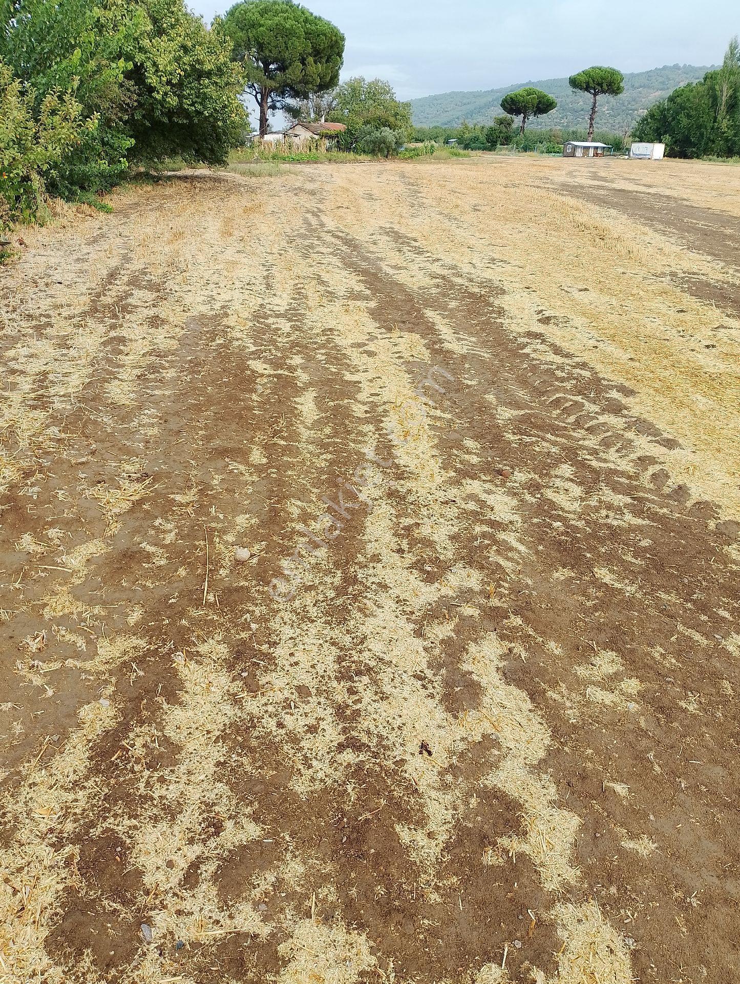 Bergama Fevzipaşa Mah.cezaevi Yanında Satılık Tarla - Görsel 13