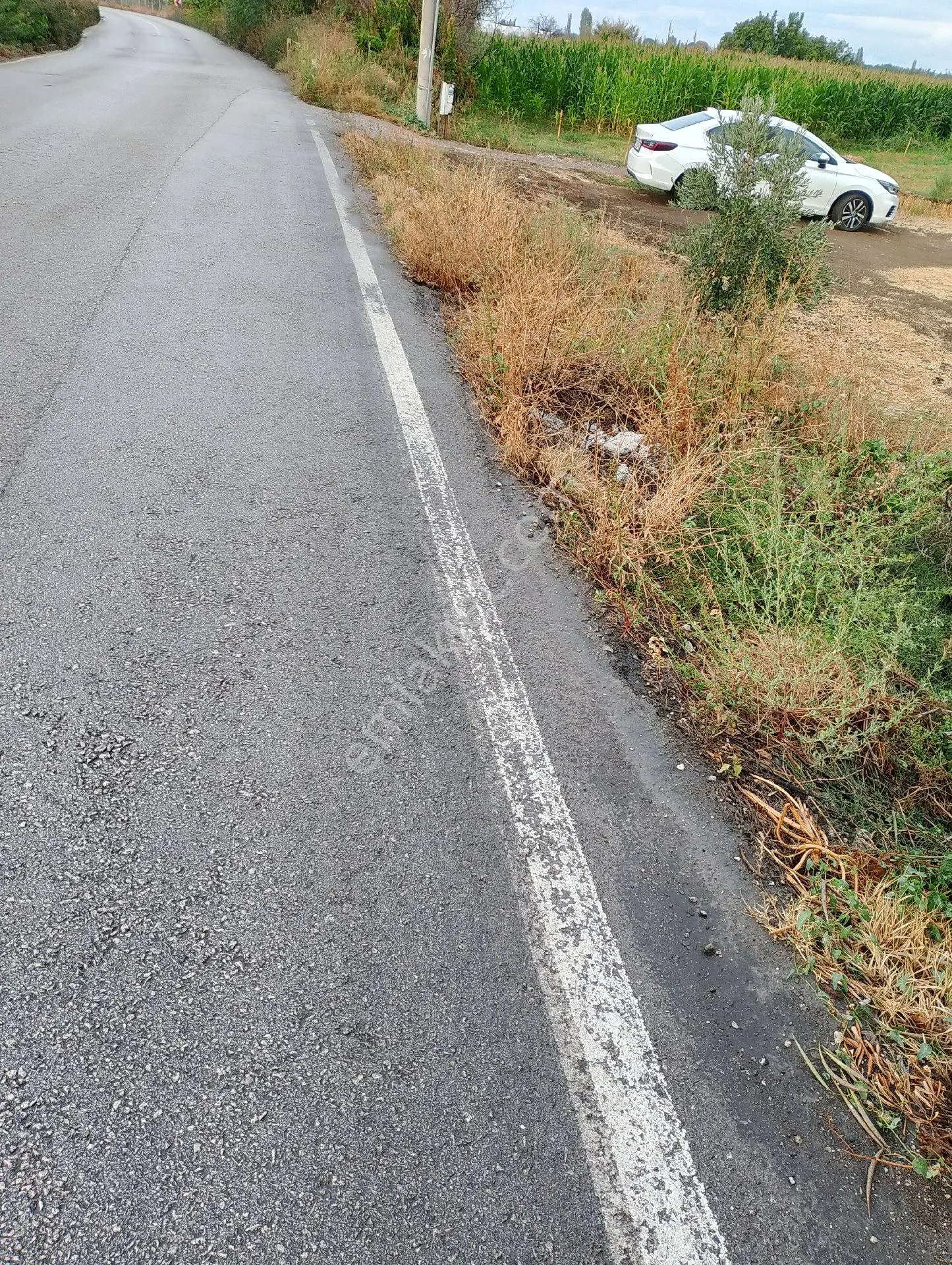 Bergama Fevzipaşa Mah.cezaevi Yanında Satılık Tarla - Görsel 3