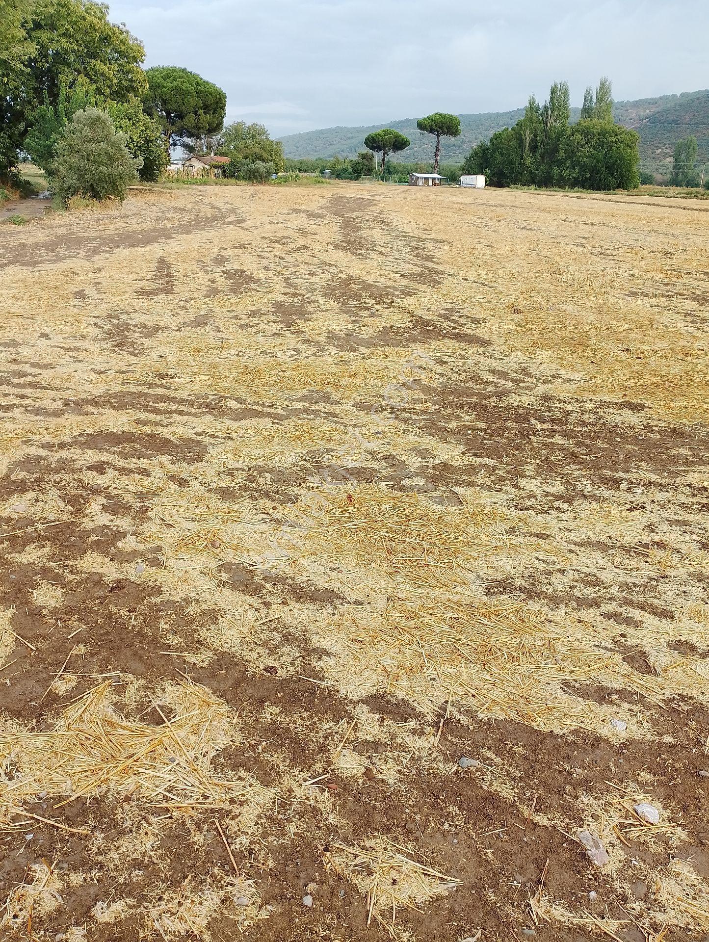 Bergama Fevzipaşa Mah.cezaevi Yanında Satılık Tarla - Görsel 12