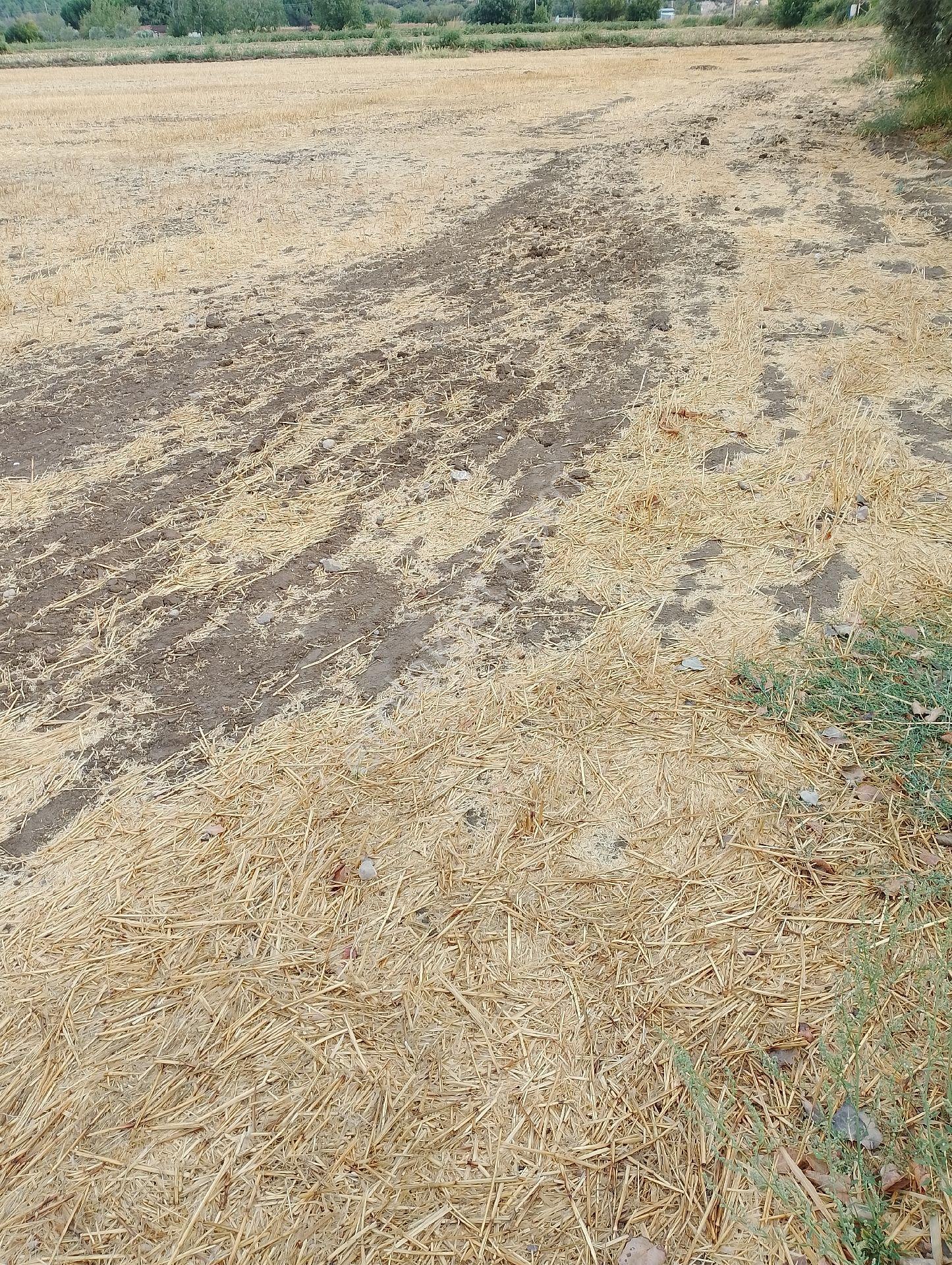 Bergama Fevzipaşa Mah.cezaevi Yanında Satılık Tarla - Görsel 4