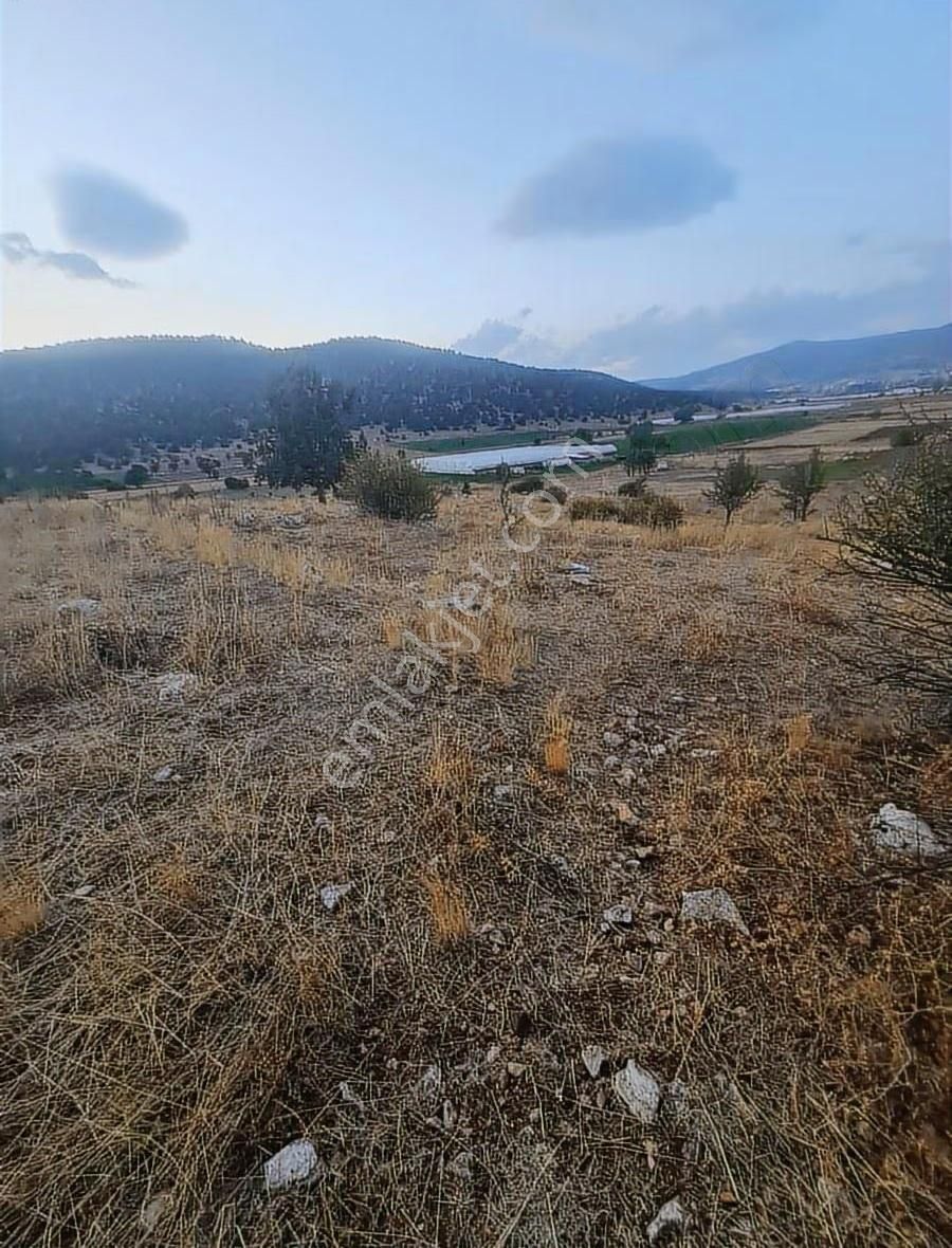 Yayla Bekçilerde 955 M2 Satılık Tarla. - Görsel 5