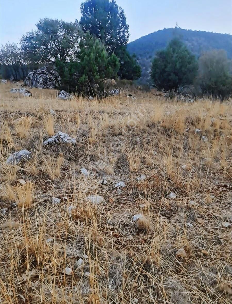 Yayla Bekçilerde 955 M2 Satılık Tarla. - Görsel 17