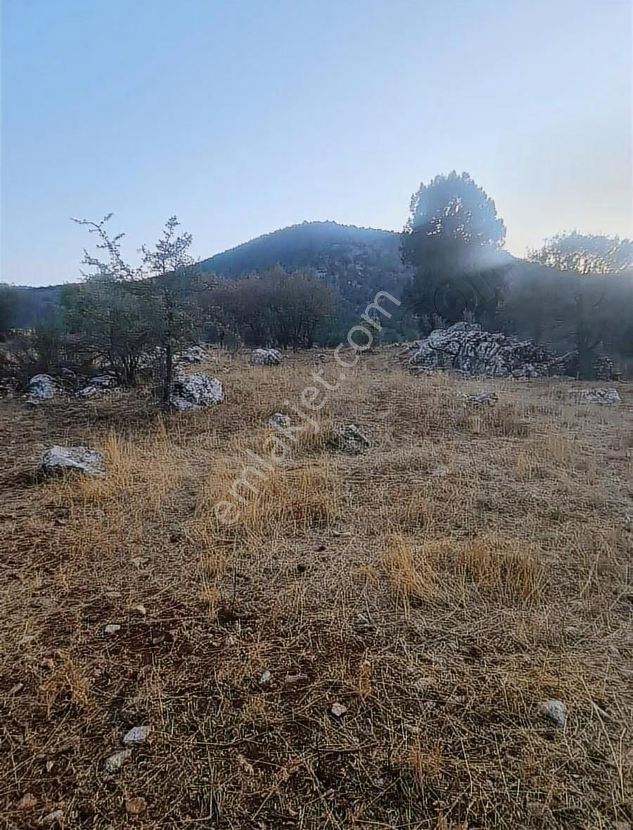 Yayla Bekçilerde 955 M2 Satılık Tarla. - Görsel 31