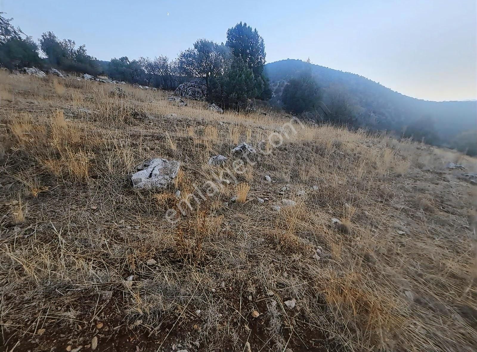 Yayla Bekçilerde 955 M2 Satılık Tarla. - Görsel 26
