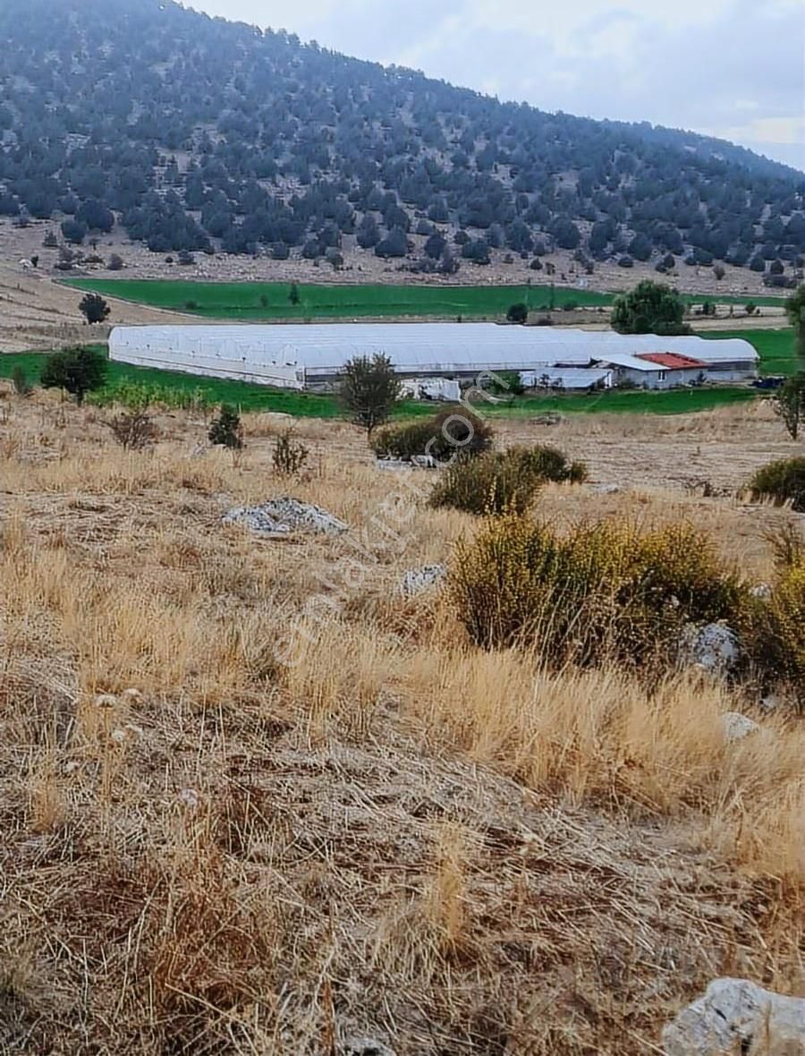Yayla Bekçilerde 955 M2 Satılık Tarla. - Görsel 2
