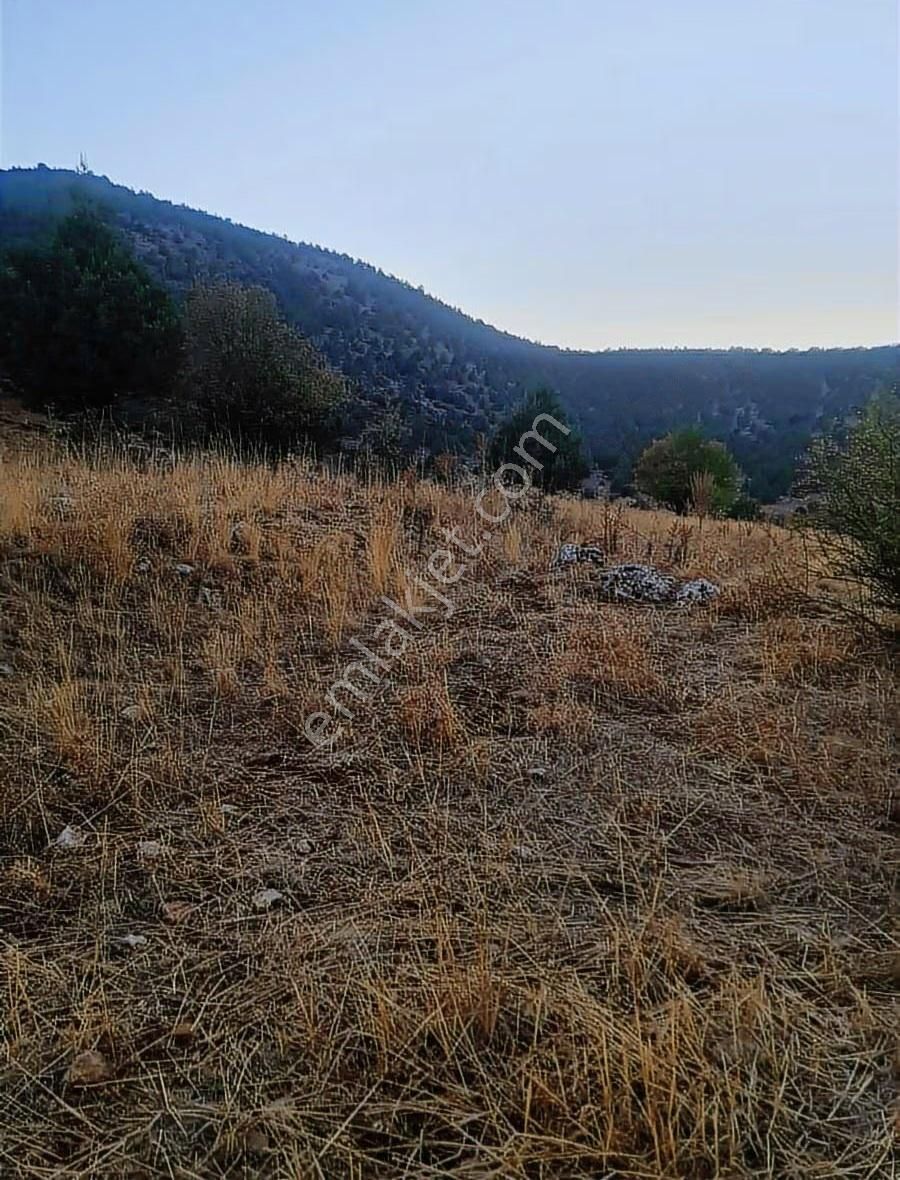 Yayla Bekçilerde 955 M2 Satılık Tarla. - Görsel 19