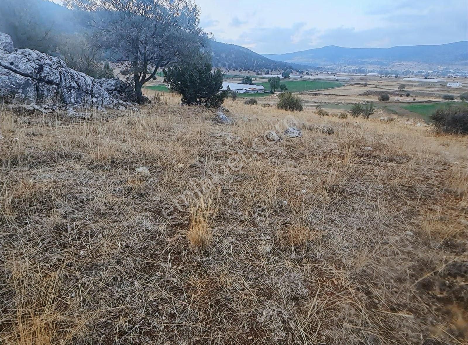 Yayla Bekçilerde 955 M2 Satılık Tarla. - Görsel 23