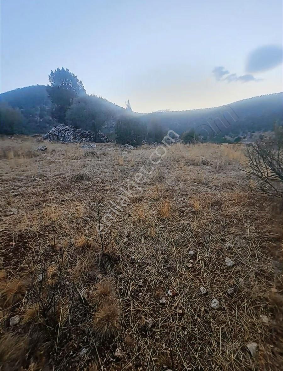 Yayla Bekçilerde 955 M2 Satılık Tarla. - Görsel 3