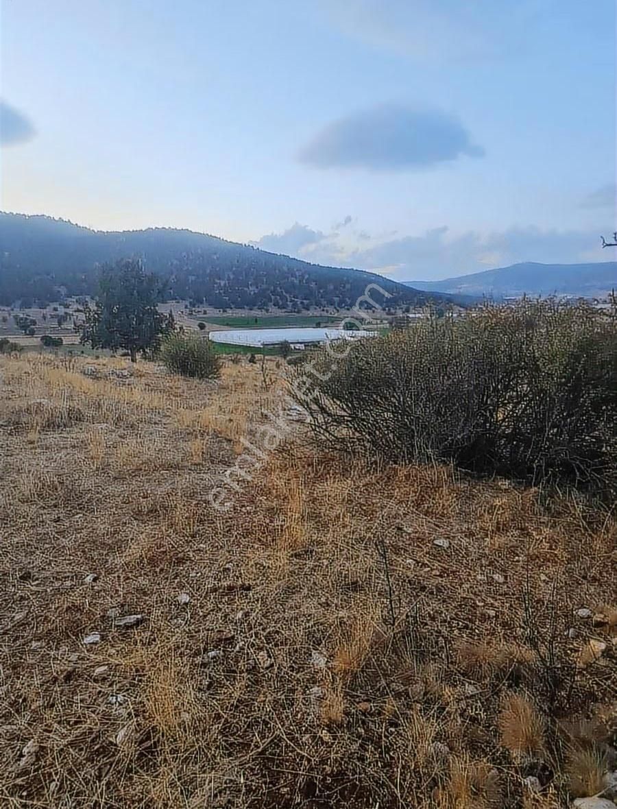 Yayla Bekçilerde 955 M2 Satılık Tarla. - Görsel 13