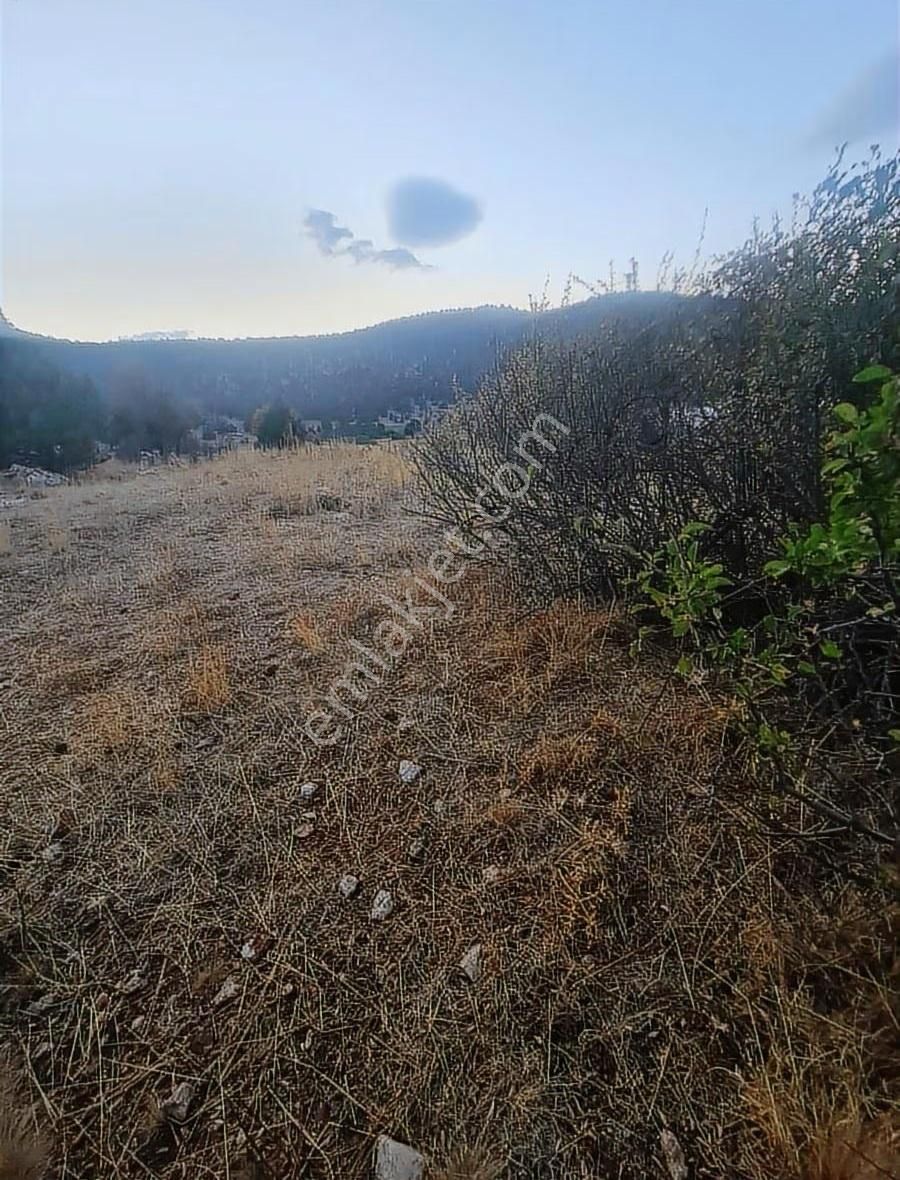 Yayla Bekçilerde 955 M2 Satılık Tarla. - Görsel 11