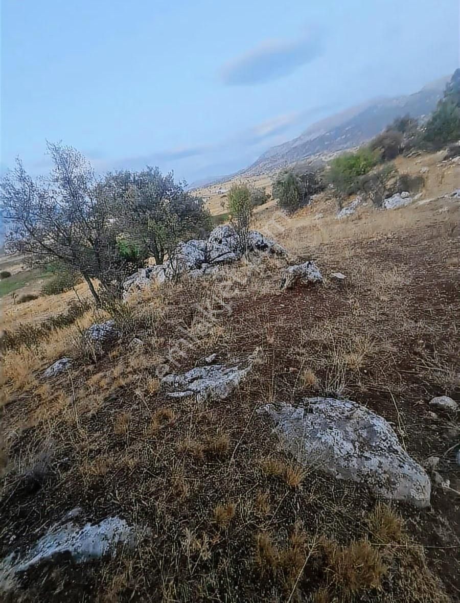 Yayla Bekçilerde 955 M2 Satılık Tarla. - Görsel 4