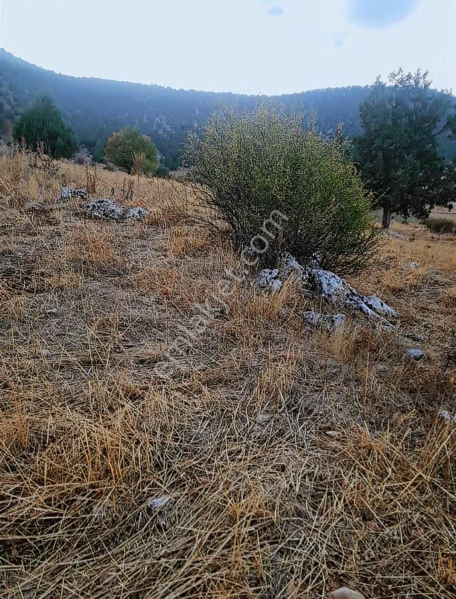 Yayla Bekçilerde 955 M2 Satılık Tarla. - Görsel 28