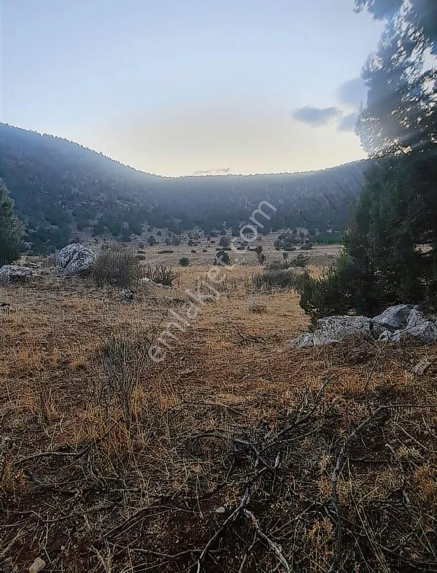 Yayla Bekçilerde 955 M2 Satılık Tarla. - Görsel 6