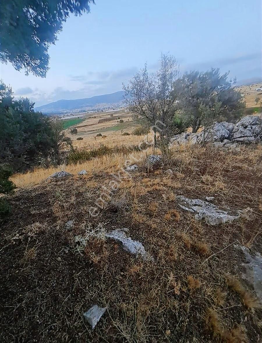 Yayla Bekçilerde 955 M2 Satılık Tarla. - Görsel 32