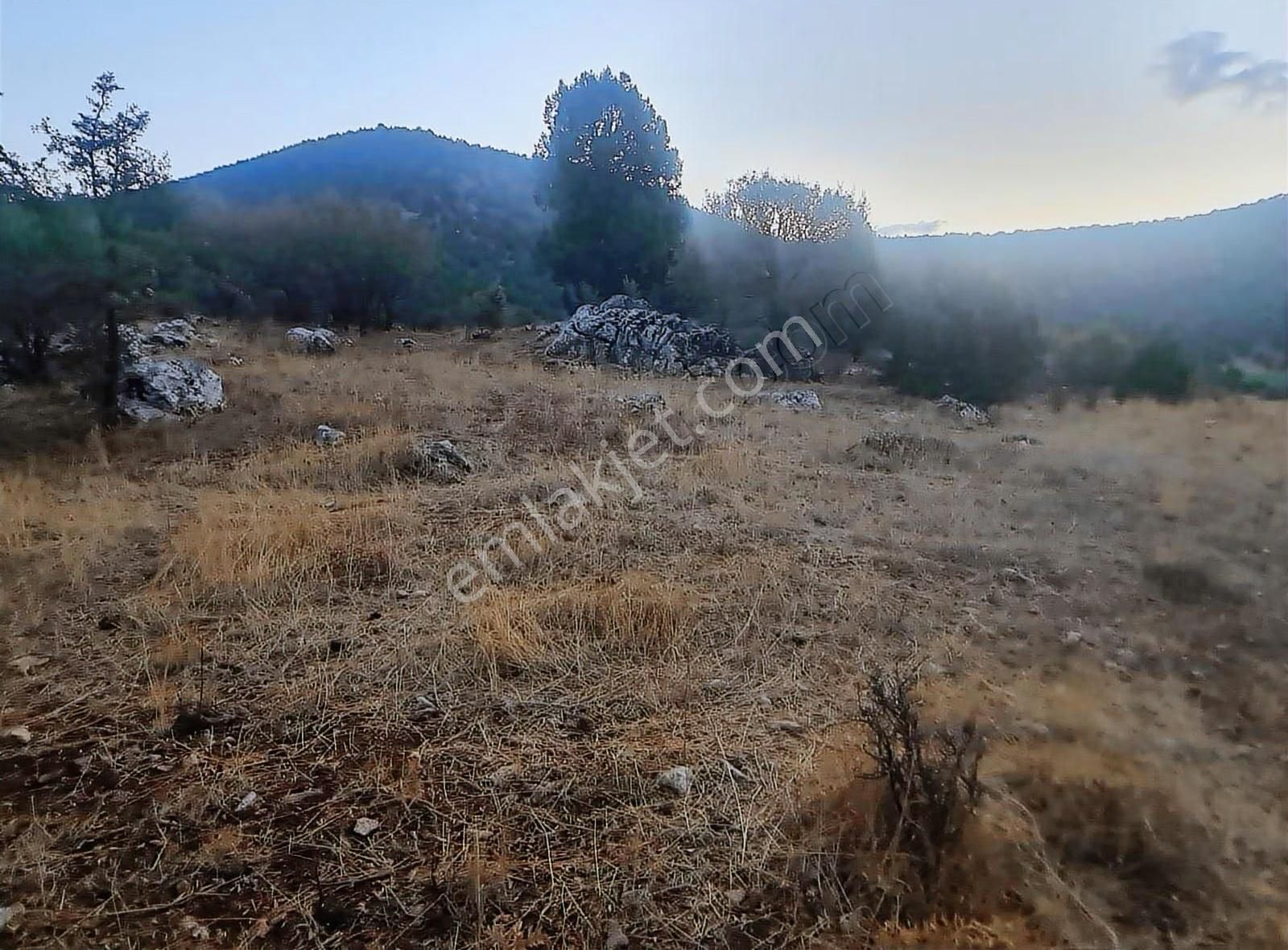 Yayla Bekçilerde 955 M2 Satılık Tarla. - Görsel 12