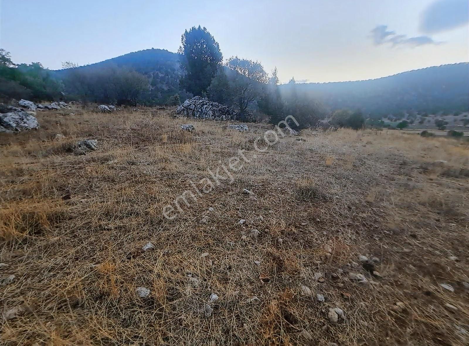 Yayla Bekçilerde 955 M2 Satılık Tarla. - Görsel 14