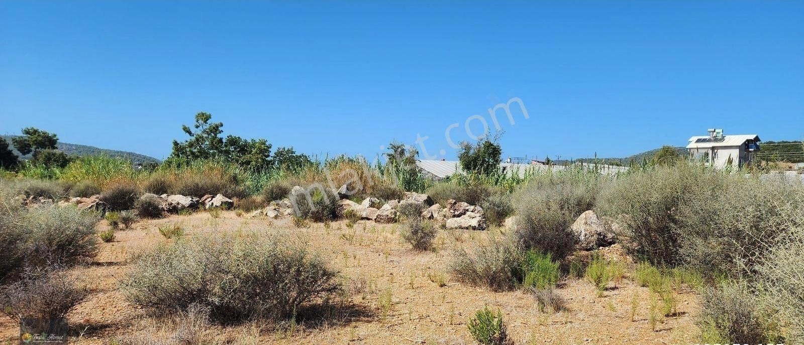 Gazipaşa Aydıncık Mahallesi'nde Yatırıma Uygun Arazi - Görsel 3