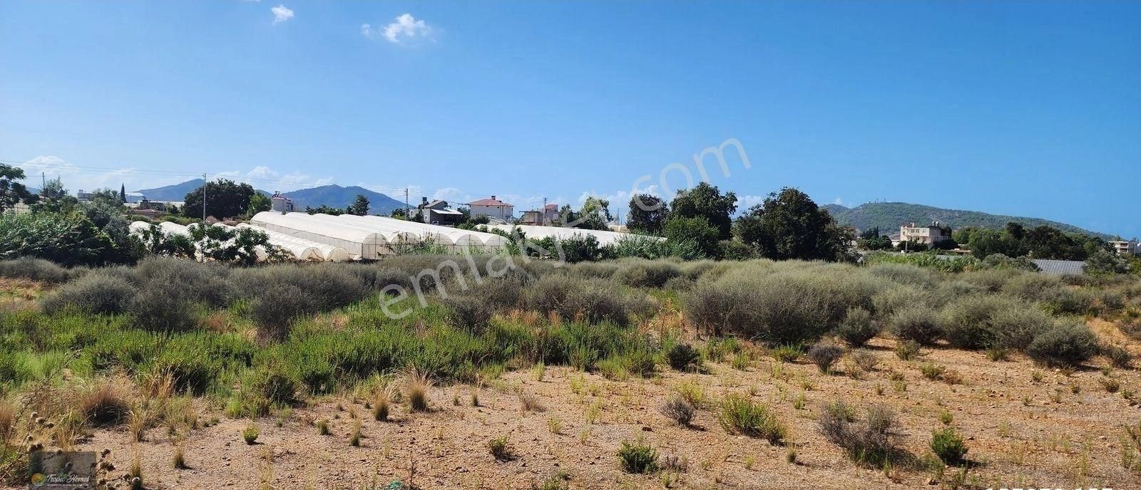 Gazipaşa Aydıncık Mahallesi'nde Yatırıma Uygun Arazi