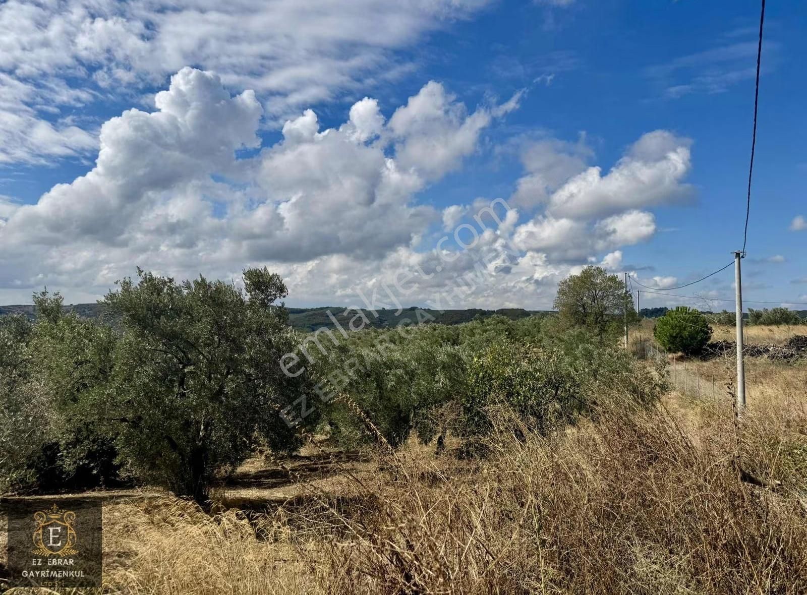 Mudanya Kaymakoba'da Köy İçi Arsa - Görsel 16