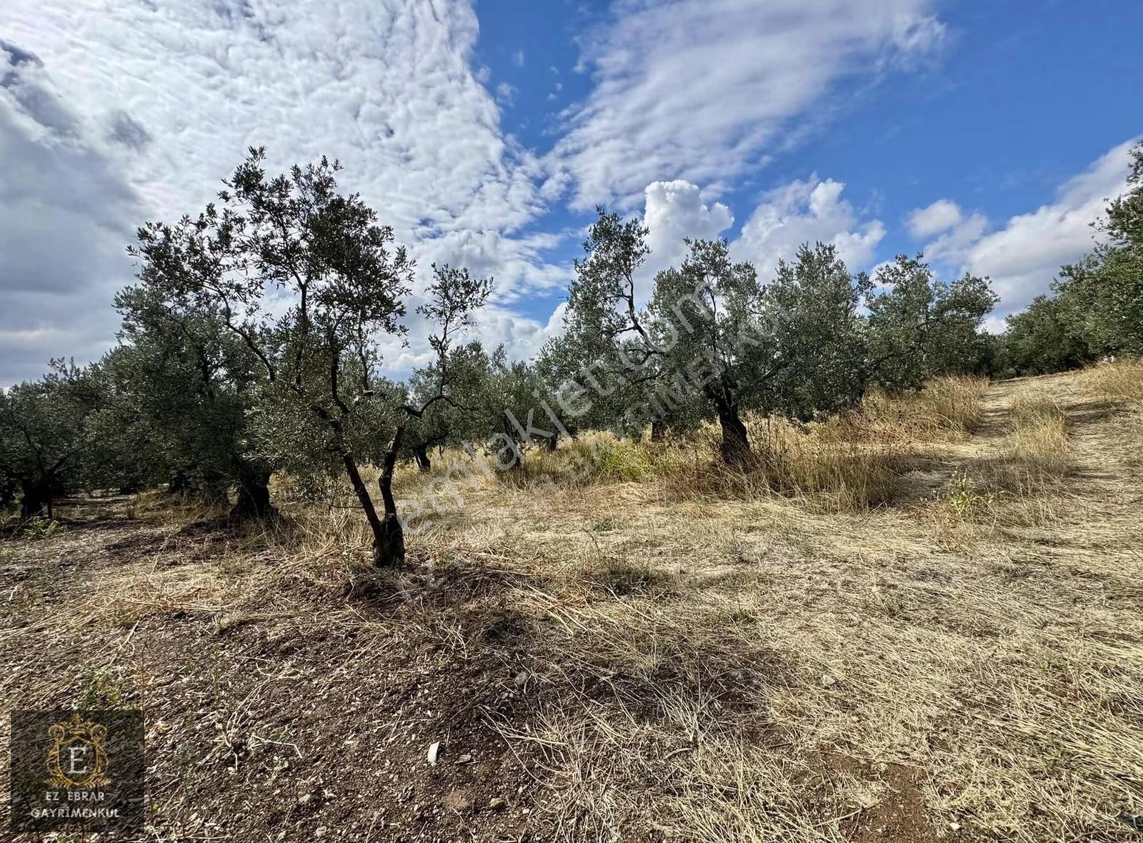 Mudanya Kaymakoba'da Köy İçi Arsa - Görsel 6