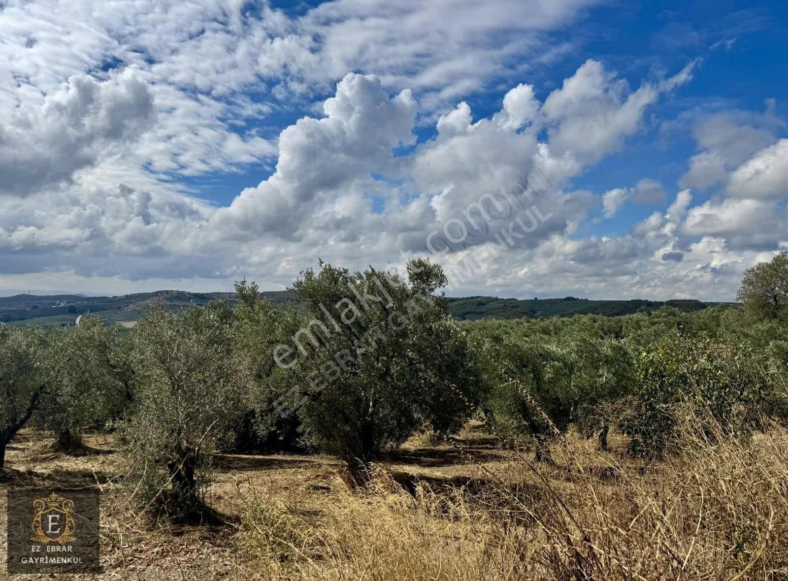 Mudanya Kaymakoba'da Köy İçi Arsa - Görsel 23