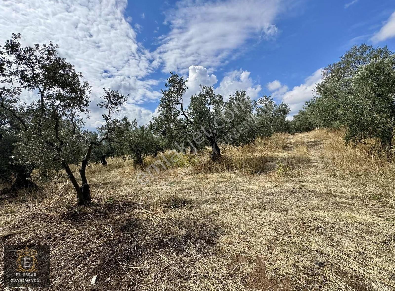 Mudanya Kaymakoba'da Köy İçi Arsa - Görsel 13