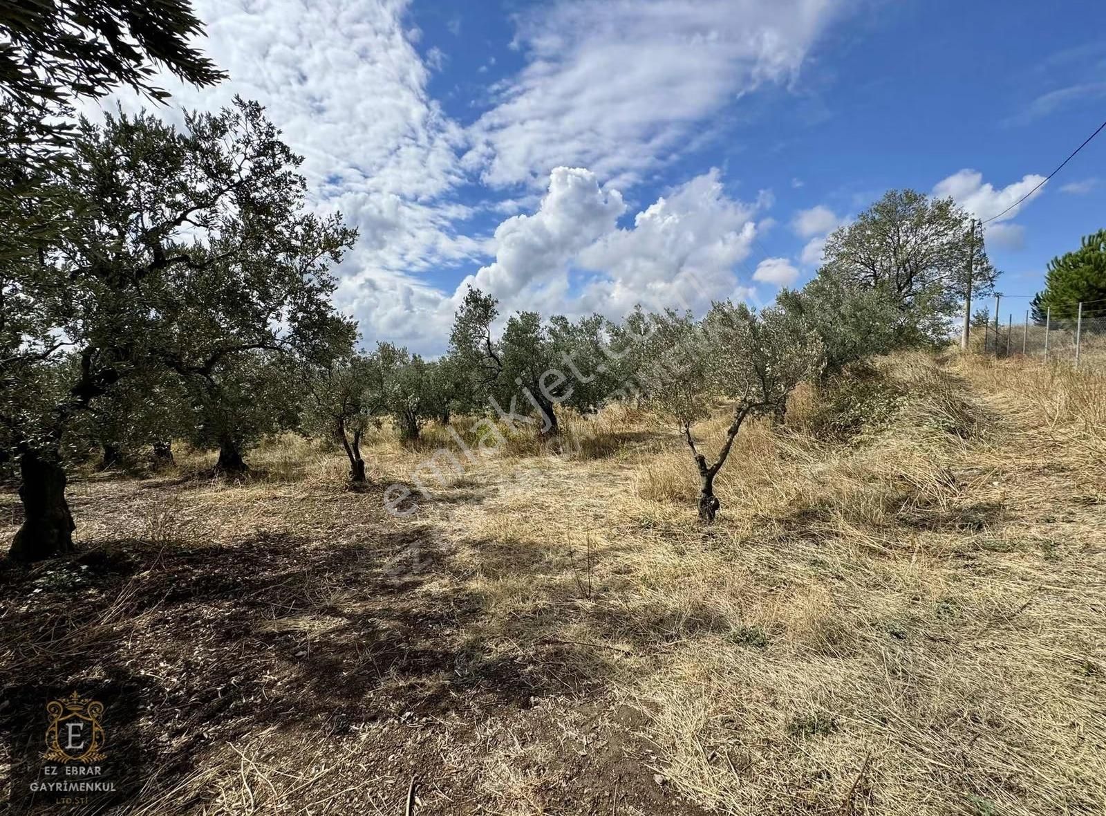 Mudanya Kaymakoba'da Köy İçi Arsa - Görsel 18