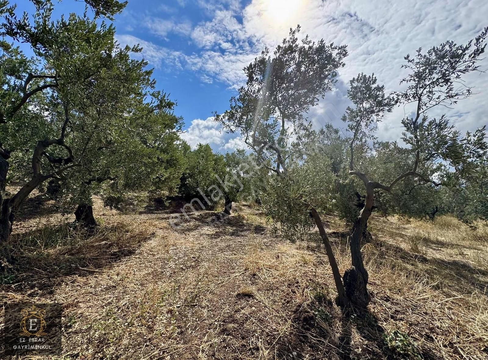 Mudanya Kaymakoba'da Köy İçi Arsa - Görsel 12