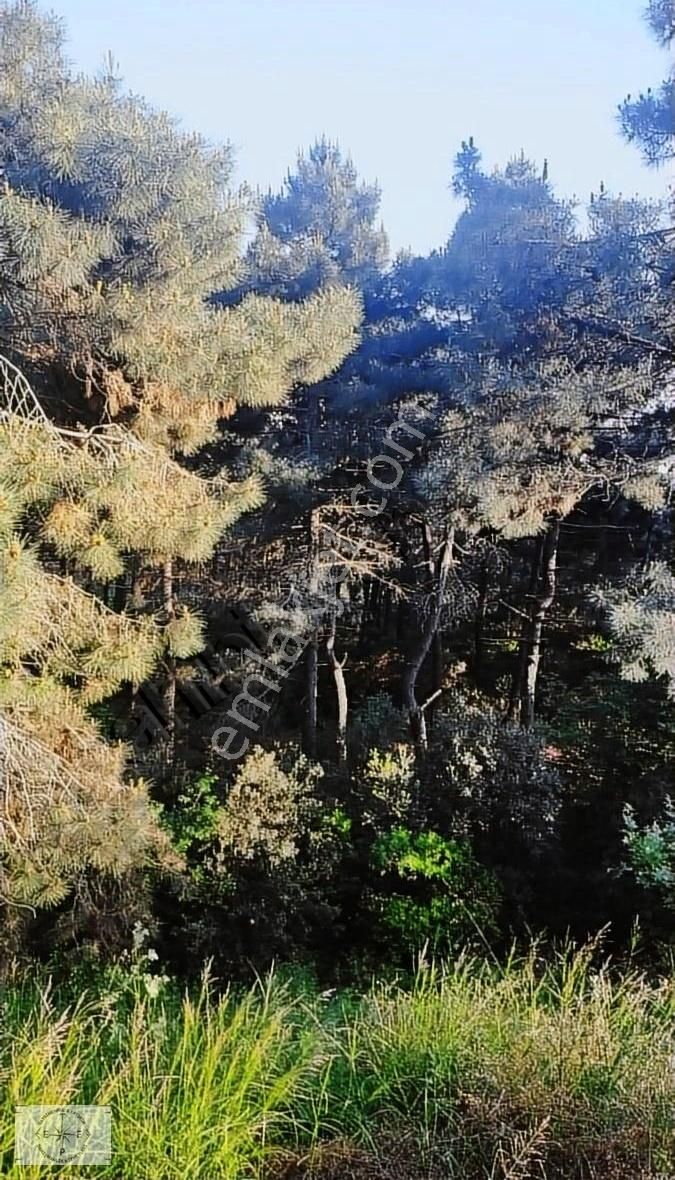 Maltepe Başıbüyük Toki 3. Etap Projesi Satılık Müstakil 4+2 - Görsel 3