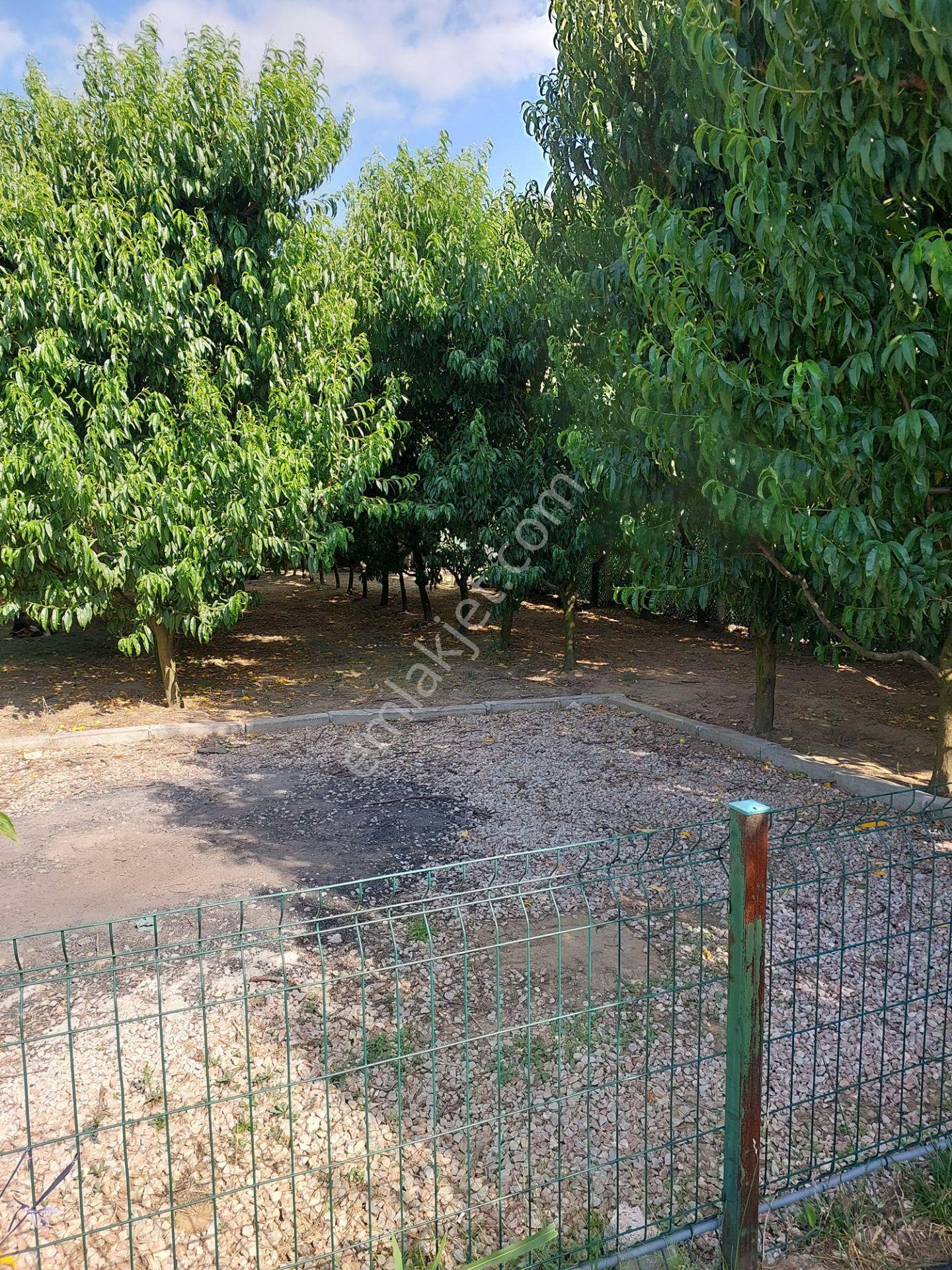 Bursa Yıldırım Samanlıda Satılık Donanımlı Ve Bakımlı 3032m2 Bahçe - Görsel 18