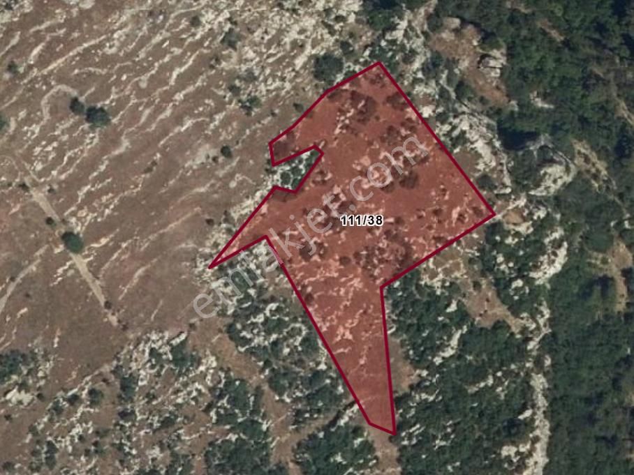 Mersin Mezitli Akarca Mah. Satılık Tarla Arazi