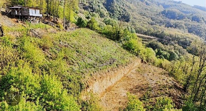 Deniz Gayrimenkul'den Karamürsel Ereğli'de Köprü Manzaralı Arazi - Görsel 5