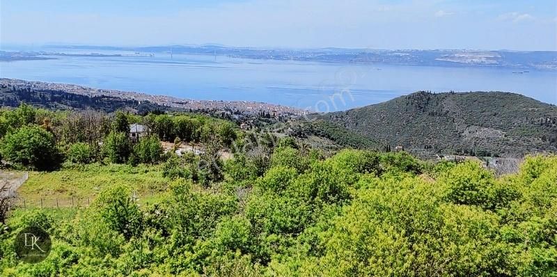 Deniz Gayrimenkul'den Karamürsel Ereğli'de Köprü Manzaralı Arazi - Görsel 3