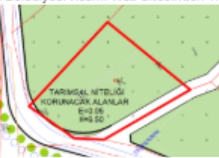Mersin Erdemli Tabiye Mah.de Acil Satılık 3348 M.kare Tarla-limon Bahçesi - Görsel 2