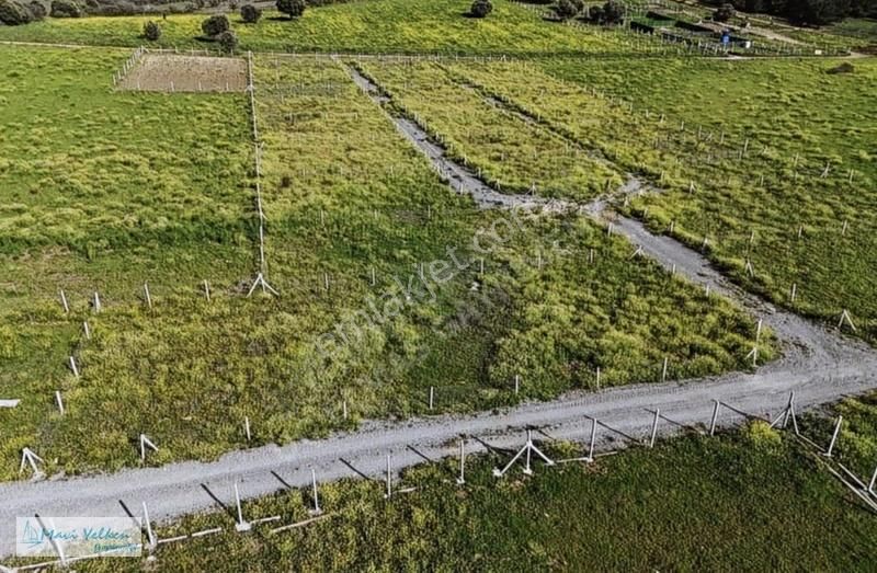 Menderes Şaşal Köyünde Uygun Fiyatlı 663 M2 Tapulu Bahçe - Görsel 5