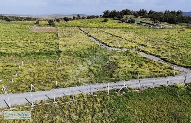 Menderes Şaşal Köyünde Uygun Fiyatlı 663 M2 Tapulu Bahçe - Görsel 3