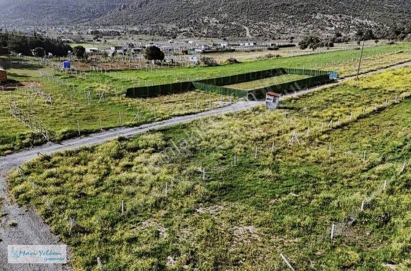 Menderes Şaşal Köyünde Uygun Fiyatlı 663 M2 Tapulu Bahçe - Görsel 2