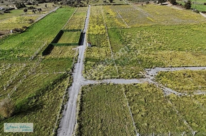 Menderes Şaşal Köyünde Uygun Fiyatlı 663 M2 Tapulu Bahçe - Görsel 6