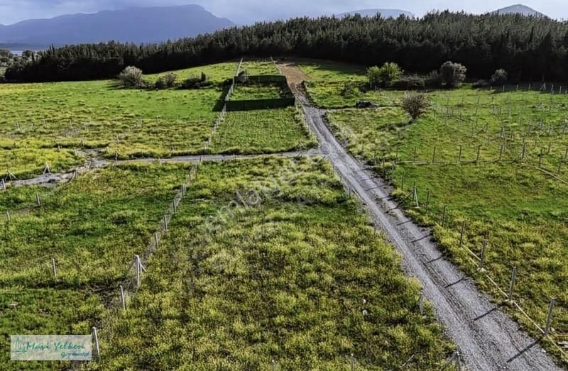 Menderes Şaşal Köyünde Uygun Fiyatlı 663 M2 Tapulu Bahçe - Görsel 4