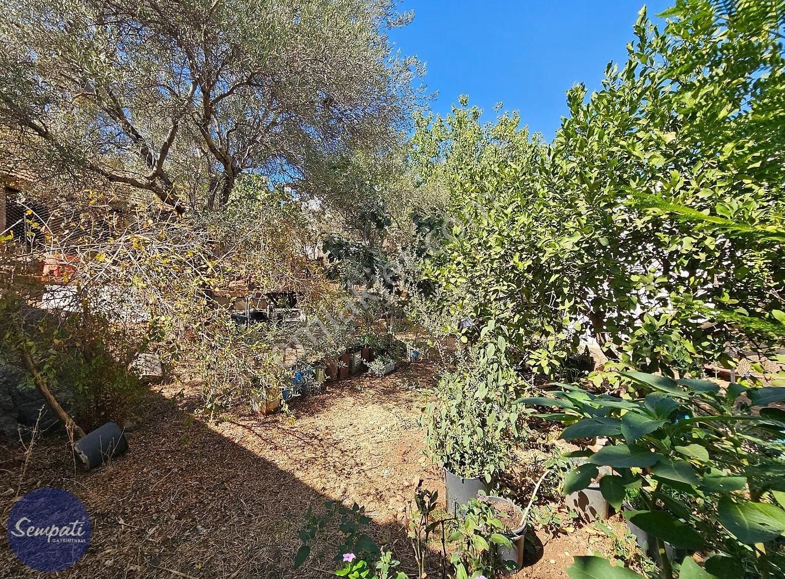 Doğanın Kalbinde Köy Yaşamı Satılık Çiftlik Evleri Ve Arsası - Görsel 20