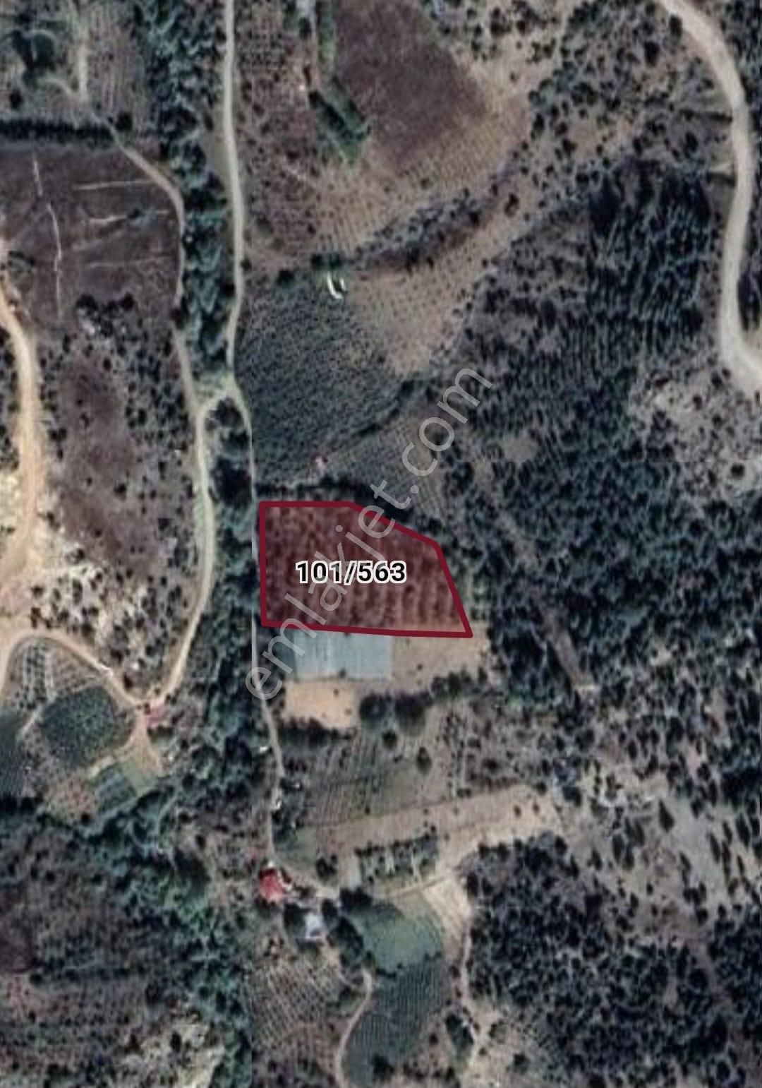 Aslan'dan Çamurlu Yaylasında Dereye Sıfır 5.000 M2 Satılık Bahçe - Görsel 15