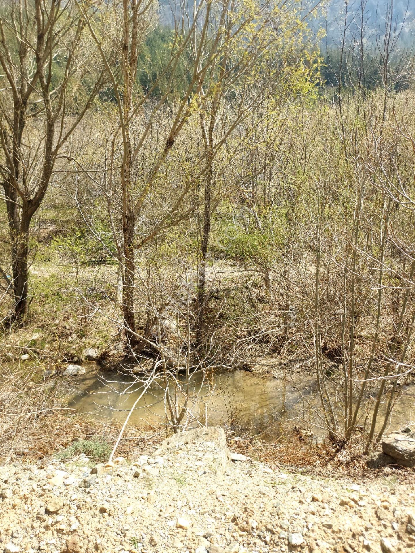 Aslan'dan Çamurlu Yaylasında Dereye Sıfır 5.000 M2 Satılık Bahçe - Görsel 11