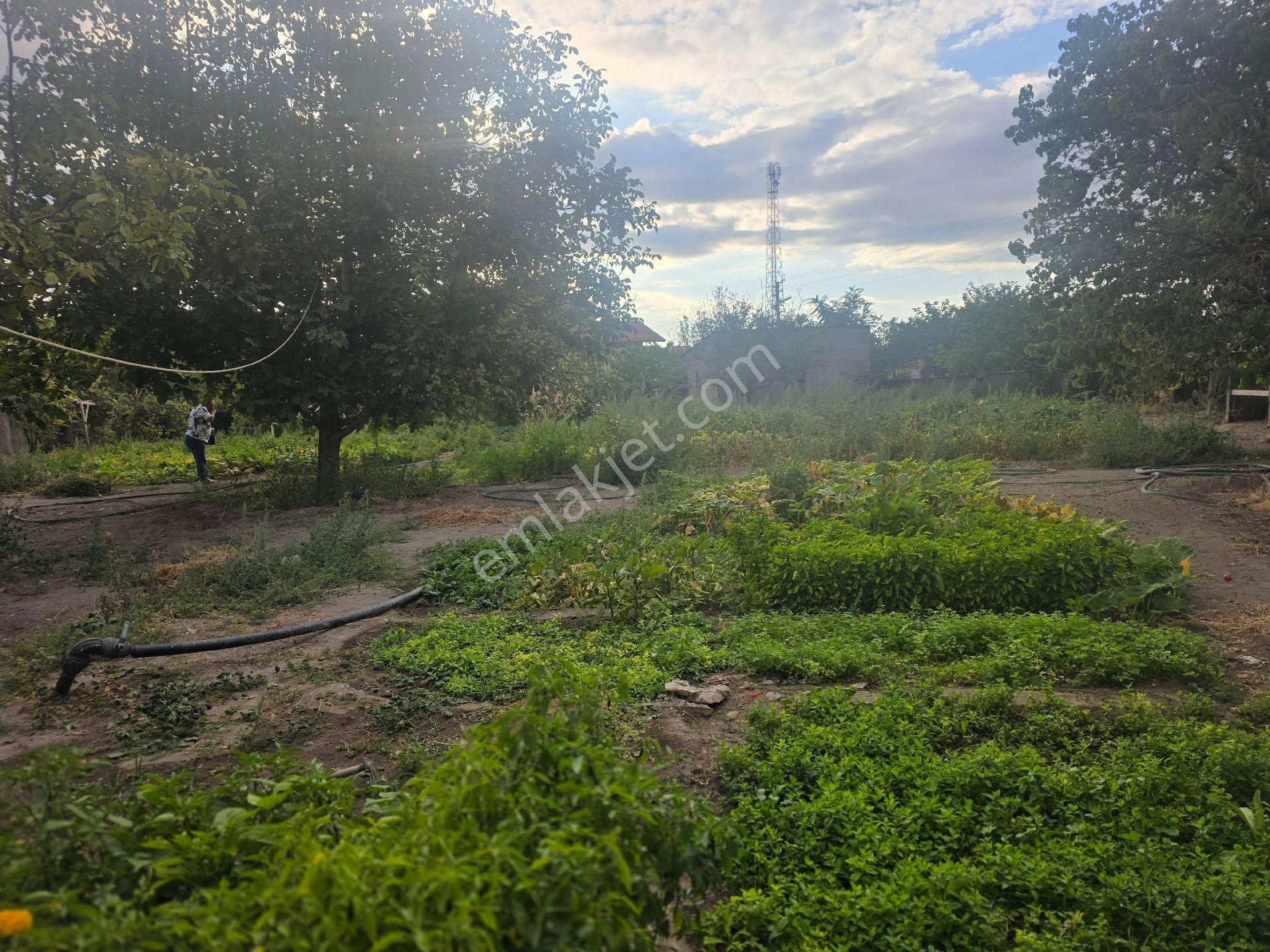 Niğde Bor Sırasöğütler De 4 Adet Satılık İmarlı Arsa - Görsel 6