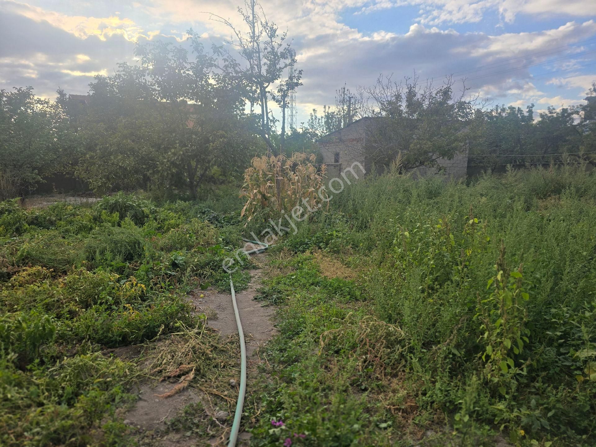 Niğde Bor Sırasöğütler De 4 Adet Satılık İmarlı Arsa - Görsel 8