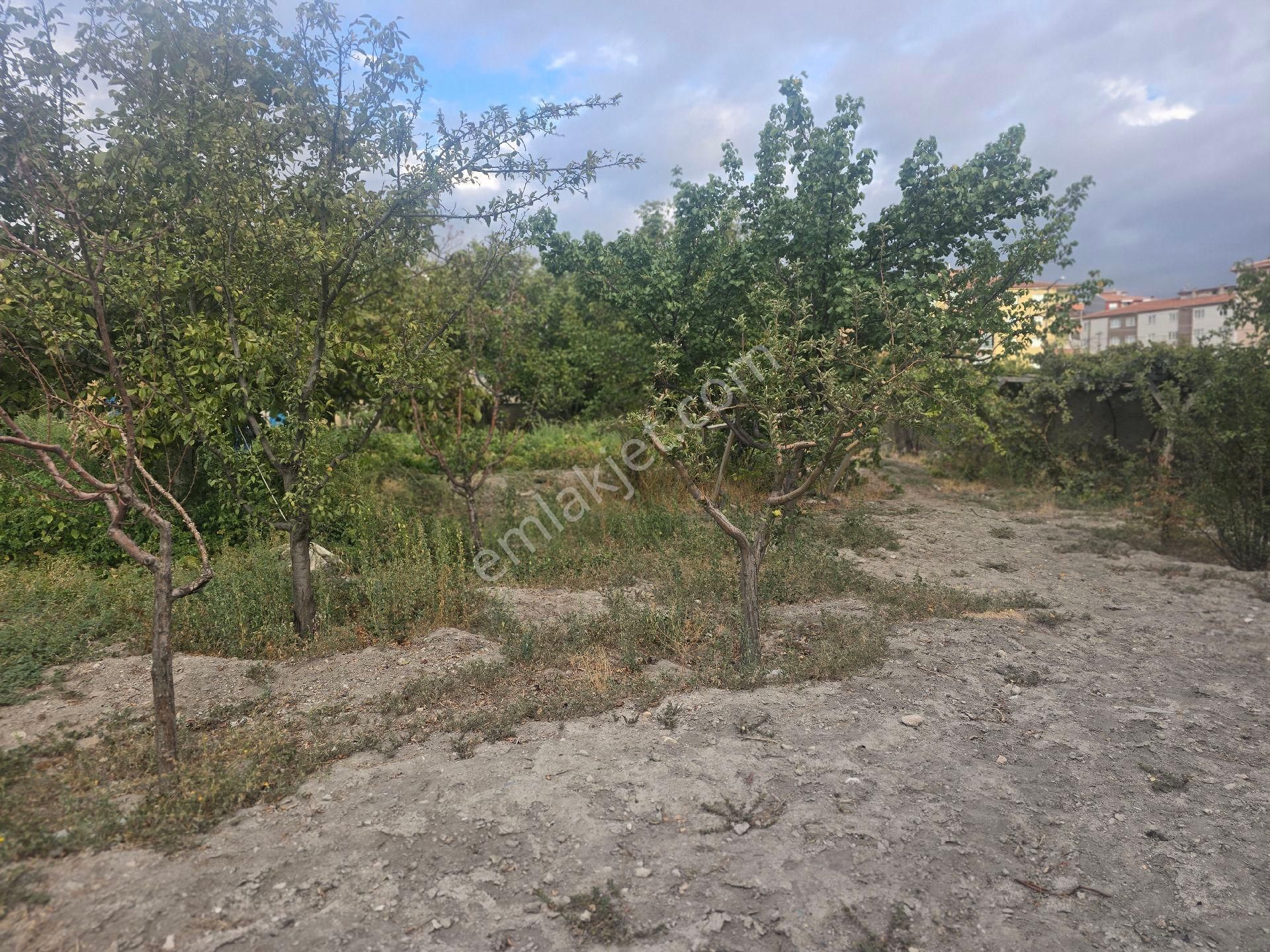 Niğde Bor Sırasöğütler De 4 Adet Satılık İmarlı Arsa - Görsel 11