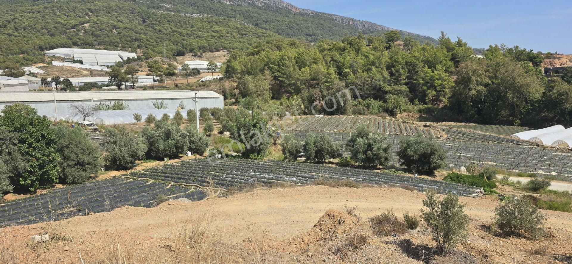 Anamur Ermenek Yoluna Cepheli Satılık Ev Ve Tarla - Görsel 10