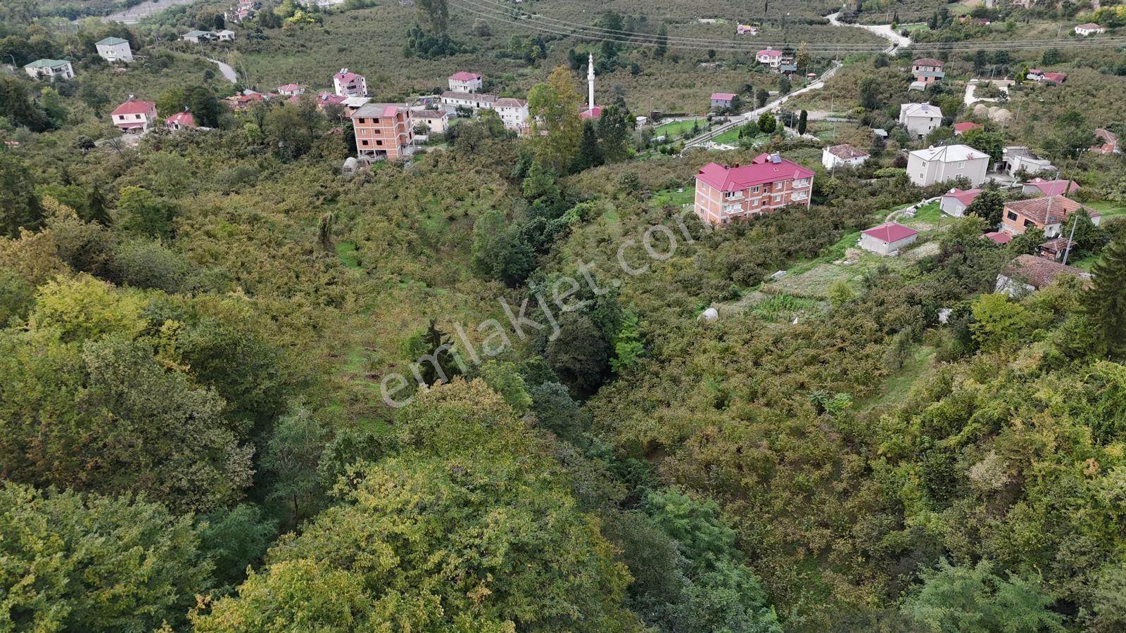 Ortahisar İncesu'da Fırsat 1429 M2 Arsa - Görsel 8