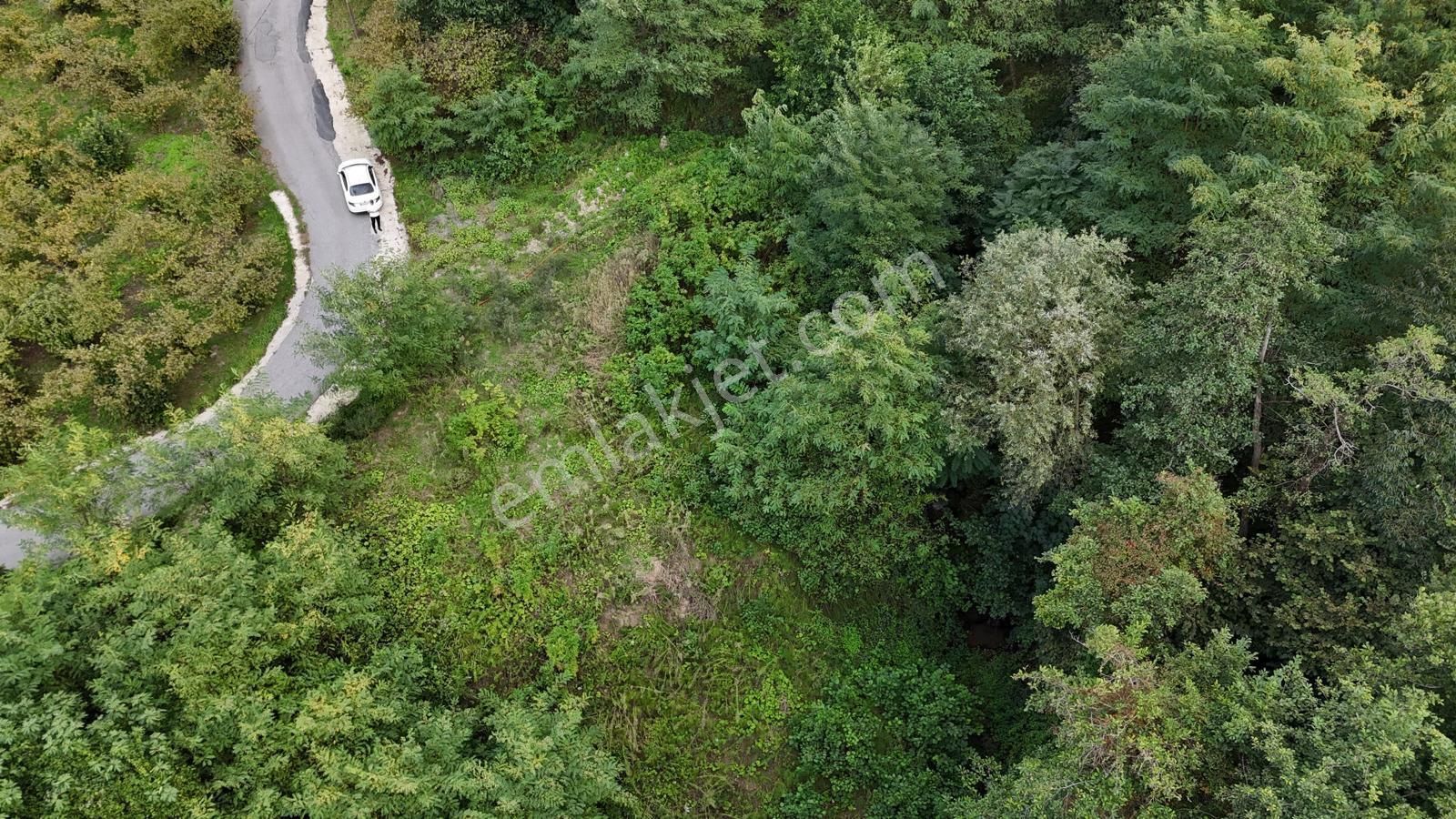 Ortahisar İncesu'da Fırsat 1429 M2 Arsa - Görsel 3